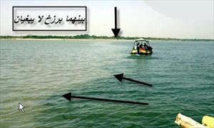 ڈنمارک میں قرآنی معجزہ+تصویر