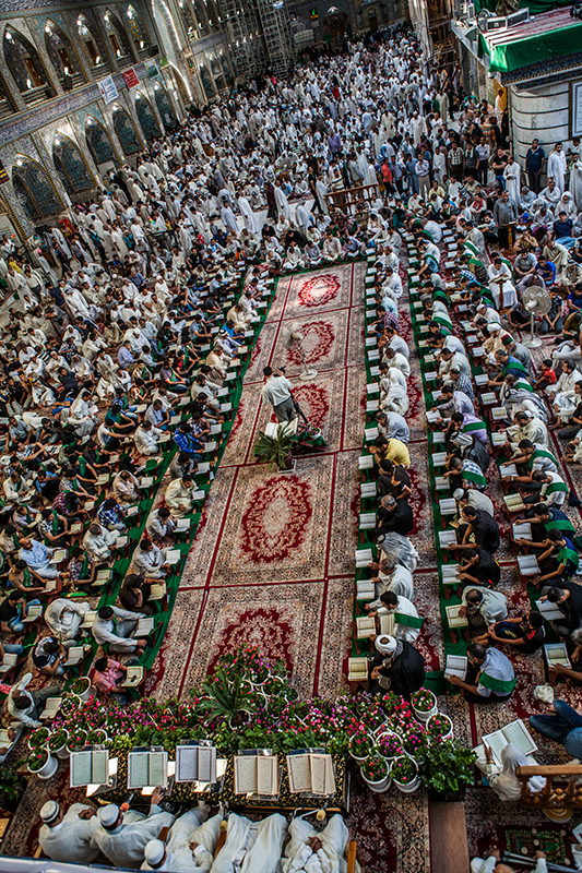 Beginning of recitation holy Quran session in Remadhan month at Imam Hussein holy shrine / Pics