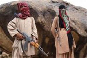 پاکستان پولیس کا ۲ دھشتگردوں کو گرفتار کرنے کا دعویٰ