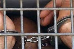 پاکستانی سکیورٹی دستوں نے دیامر میں 8 دہشت گردوں کو گرفتار کرلیا