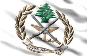 Armee stoppt mit Waffen beladenes Fahrzeug in Arsal