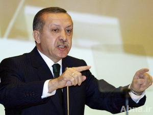أردوغان رفض طلباً من البرادعي للقائه