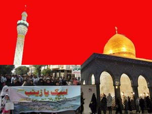 بی بی زینب (س) کے روضہ پر حملہ کیخلاف ایم ڈبلیو ایم کی کراچی میں احتجاجی ریلی
