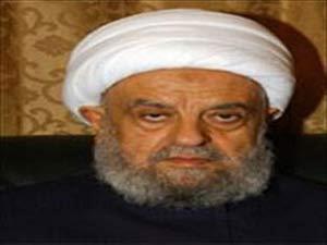 حزب اللہ کو دہشتگرد قرار دینا خود دہشتگردی ہے