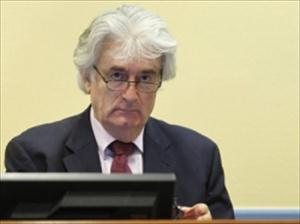 Karadžić zatražio suspenziju suđenja