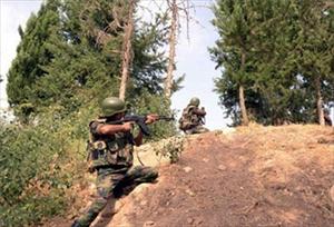 Syria: Large Groups of Terrorists Killed in Several Provinces