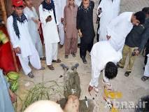 Who were the suicide bombers in Parachinar and Quetta?