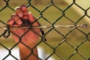 14 prisoners on hunger strike in Israeli jails