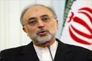 فلسطین، دشمنوں کےمقابل استقامت و اسلامی بیداری کی علامت