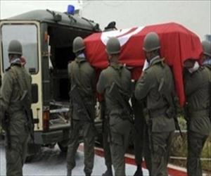 تیونس میں دہشتگردوں کا ہدف لوگوں میں اختلاف پیدا کرناہے