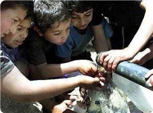 L'AP est accusée de mauvaise gestion de la crise de l'eau en Cisjordanie