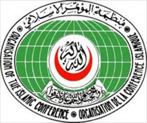 عرب لیگ اور او آئی سی نے شام میں جنگ بندی کی اپیل کی