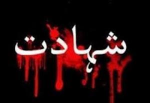 پاکستان؛ شیعہ علما کونسل کے ڈویژنل صدر اور ان کا بیٹا شہید