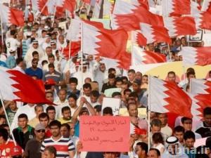 تنفيذ توصيات "بسيوني" و"جنيف" يخرج البلاد من مأزقها