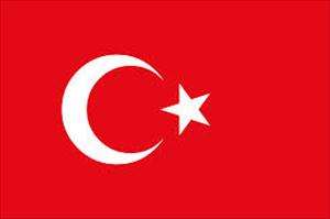 Urteil im Verschwörungsprozess in der Türkei erwartet