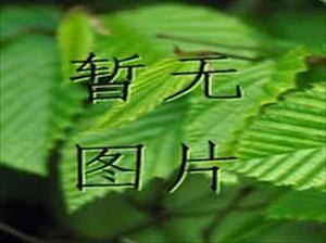 阿勒哈里法政权继续对巴林民众犯罪作恶