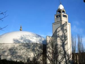 法国里昂清真寺呼吁法国穆斯林举行集会活动