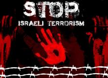 Video: Israelis kill Palestinian woman after telling she is safe