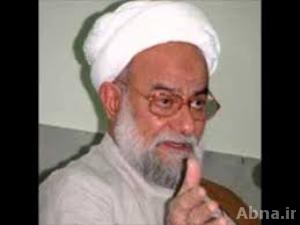 طلب «الشيخ الآصفي» من شيخ الازهر القيام بوقف شلال الدم في مصر