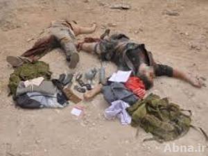مصرع قادة بجبهة النصرة بحلب وحمص ودرعا بينهم اجانب