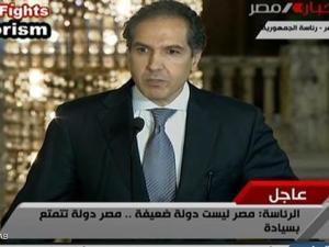 الرئاسة المصرية: نواجه إرهابا منظما