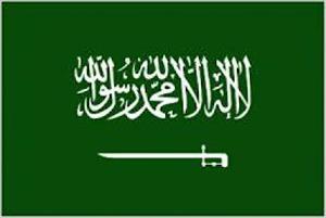 سعودی عرب، عوامی تحریک مکمل طور پر پر امن ہے