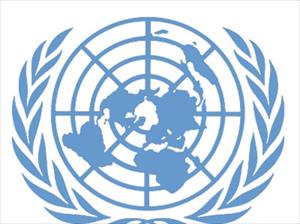Iran has increasingly powerful capacity to respond to natural disaster: UN official