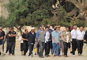 Dozens of settlers break into Aqsa mosque