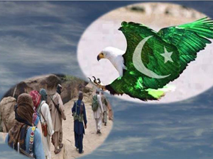 طالبان سے درخواست