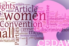 Bahrain: Report to The Committee On The Elimination Of All Forms Of Discrimination Against Women
