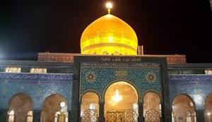 حزب اللہ کی ایک اہم شخصیت حرم حضرت زینب(ع) کے دفاع میں مشغول +تصاویر
