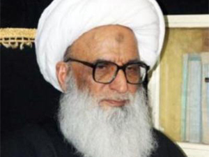 شیعوں کا بہتا ہر قطرہ خون میرے لئے تکلیف دہ ہے
