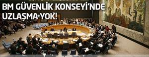 BM Güvenlik Konseyi'nde uzlaşma yok