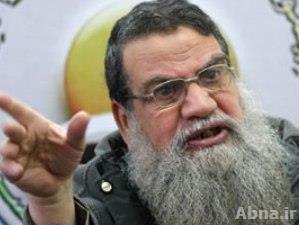الإسلاميون باقون بقوة في المشهد السياسي والإخوان سيحققون إنجازات إذا خاضوا الانتخابات