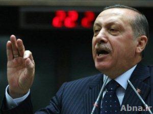 «أردوغان» يقول إن الضربات المحدودة ضد سوريا ليست كافية ولن ترضي تركيا