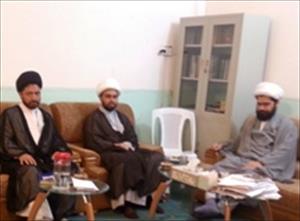 ایم ڈبلیو ایم کی حمایت کرتے ہوئے ہر قسم کا تعاون کرنے کو تیار ہیں، شیخ علی نجفی