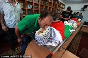 230名巴勒斯坦人在加沙地带与埃及的边境通道被杀害