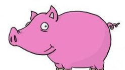 Québec: une mosquée souillée avec du sang de porc