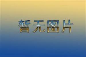 埃及军方毁坏了该国与加沙地带98%的通道