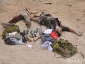 القضاء على أعداد كبيرة من الإرهابيين في أرياف دمشق وحمص وحلب