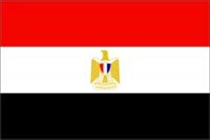 مصر کے وزیر داخلہ پر قاتلانہ حملہ