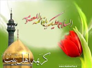 ولادت حضرت معصومہ (س) کے موقع پر پورے ایران میں جشن مسرت