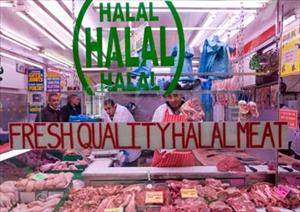 4th International Halal and Healthy Food Fair begins in Istanbul