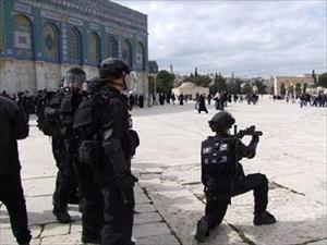 Palestine: Dozens injured by Israeli army in Al-Aqsa Mosque