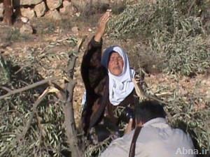 خمسة الاف دونم لفلسطينيين خصصتها منظمة صهيونية ليزرعها مستوطنون