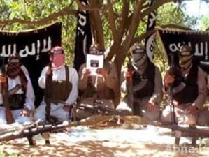 جماعة " أنصار بيت المقدس" تتبنى مسئولية تفجيرات رفح