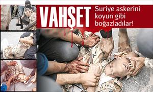 Suriye askerini koyun gibi boğazladılar