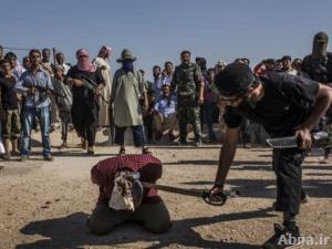 بالصور/ "ديلي ميل": مسلحو القاعدة يذبحون الإنسان أمام الأطفال