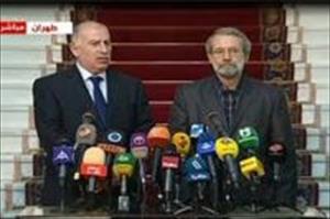 بحران شام کے سیاسی راہ حل پر تاکید