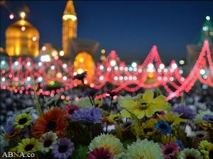 حضرت عبدالعظیم حسنی﴿ع﴾ کے مزار پر جشن کا انعقاد